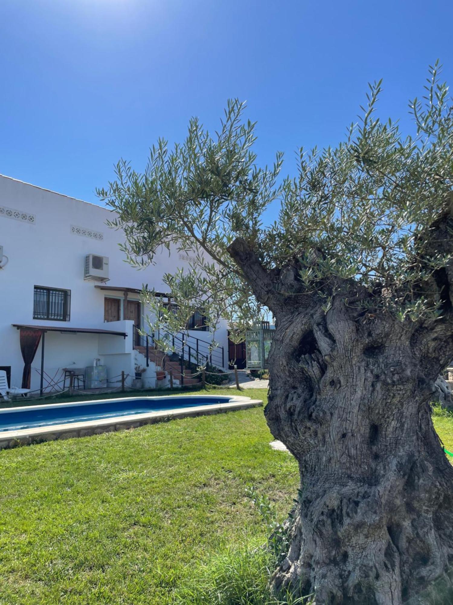 Casa Rural El Miajon Villa El Campo  Exteriör bild